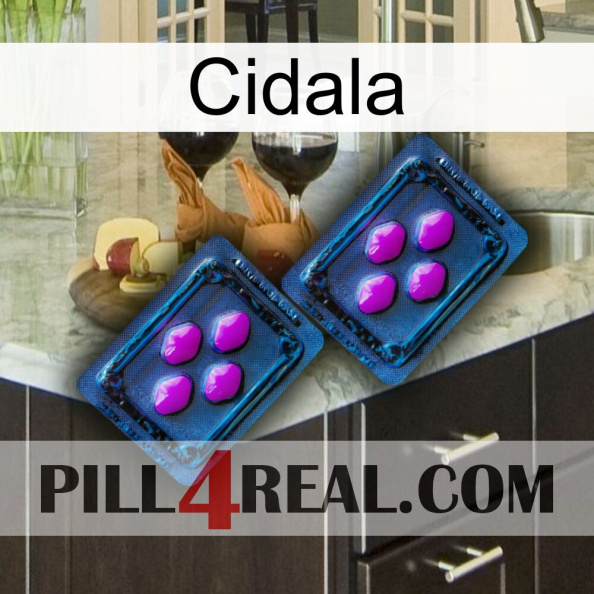 Cidala 03